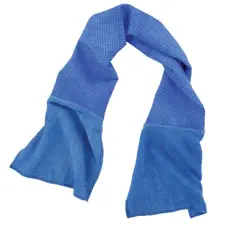 Ergodyne Multi Purpose Cooling Towel, Blue 