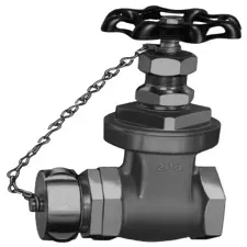 Elkhart Hydrant Gate Valve, 2.5" Brass 2.5"F NPTx2.5"M 