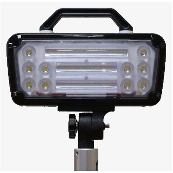 FRC Radiant Eco AC White LEDs, Scene Light, Includes On/Off Switch, Bundle of 2 Lights