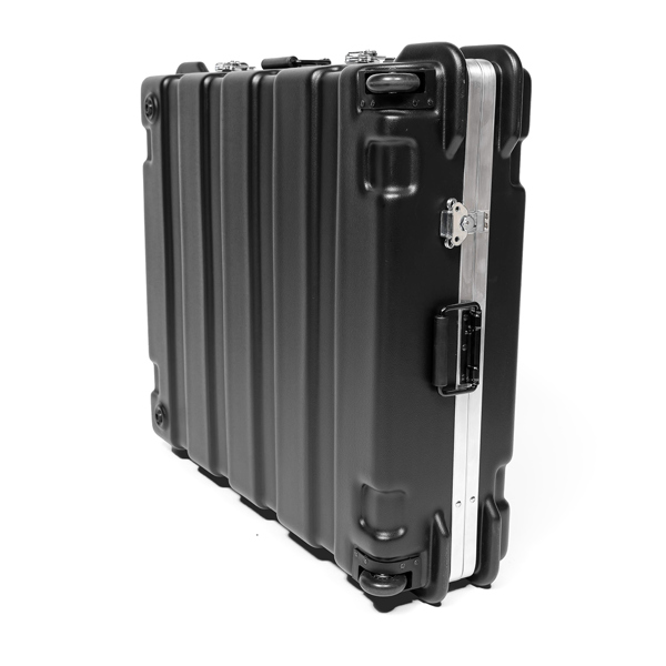LION ATTACK Transport Case